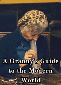 A Granny's Guide to the Modern World thumbnail