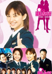 You're Under Arrest thumbnail