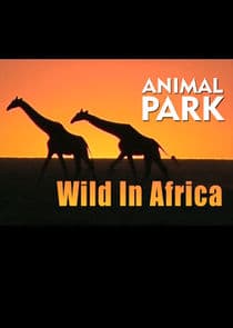 Animal Park: Wild in Africa thumbnail