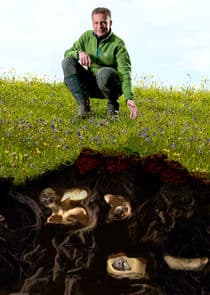 The Burrowers: Animals Underground thumbnail