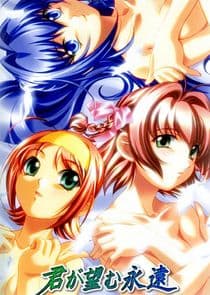 Kimi ga Nozomu Eien thumbnail