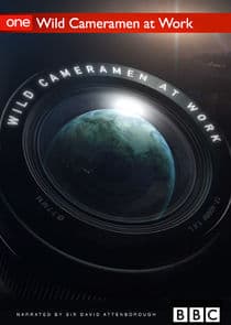 Wild Cameramen at Work thumbnail