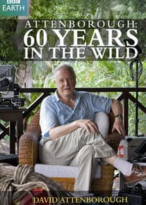 Attenborough: 60 Years in the Wild thumbnail