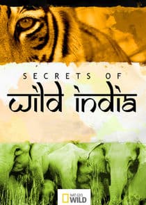 Secrets of Wild India thumbnail