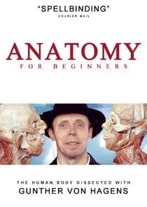 Anatomy for Beginners thumbnail