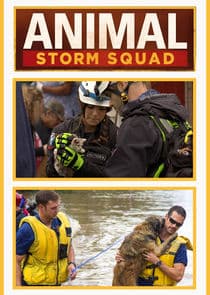Animal Storm Squad thumbnail