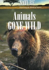 Animals Gone Wild thumbnail