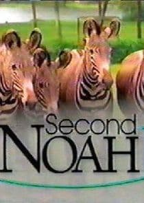 Second Noah thumbnail