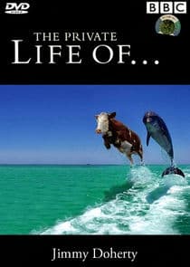 The Private Life of... thumbnail