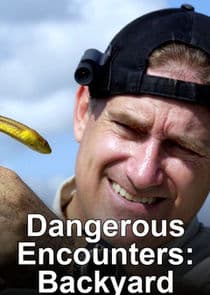 Dangerous Encounters: Backyard Monsters thumbnail