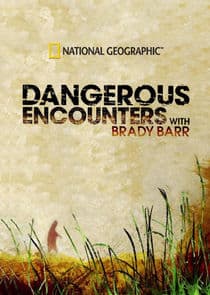 Dangerous Encounters thumbnail