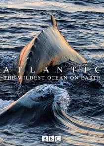 Atlantic: The Wildest Ocean on Earth thumbnail