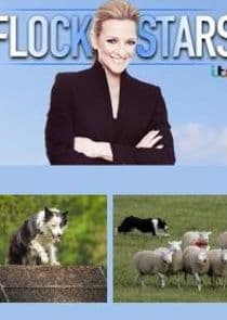 Flockstars thumbnail