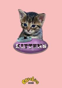 Meet the Kittens thumbnail