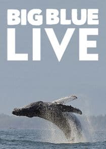 Big Blue Live thumbnail