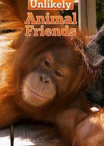 Unlikely Animal Friends thumbnail