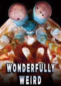 Wonderfully Weird thumbnail