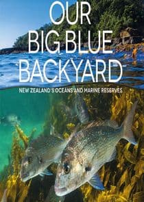 Our Big Blue Backyard thumbnail