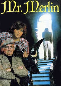 Mr. Merlin thumbnail