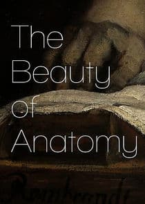 The Beauty of Anatomy thumbnail