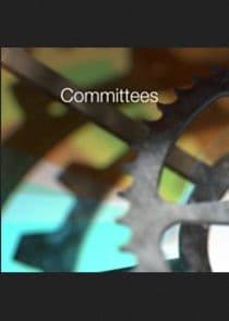 Select Committees thumbnail