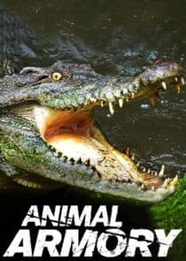 Animal Armory thumbnail