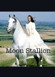 The Moon Stallion thumbnail