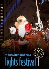 Magnificent Mile Lights Festival thumbnail