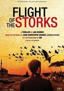 Flight of the Storks thumbnail
