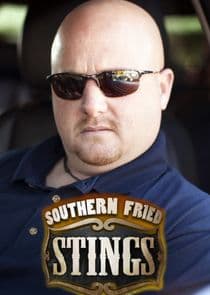 Southern Fried Stings thumbnail