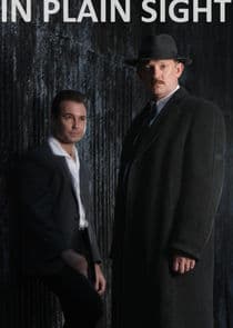 In Plain Sight thumbnail