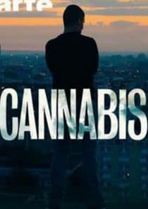 Cannabis thumbnail