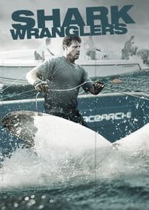 Shark Wranglers thumbnail
