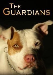 The Guardians thumbnail