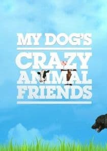 My Dog's Crazy Animal Friends thumbnail