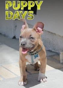 Puppy Days thumbnail