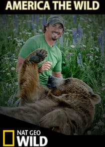 America the Wild thumbnail
