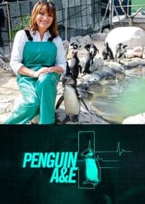 Penguin A&E with Lorraine Kelly thumbnail
