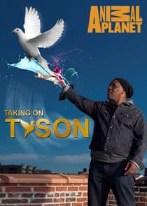 Taking on Tyson thumbnail