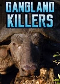 Gangland Killers thumbnail