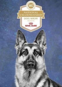 AKC National Championship Dog Show thumbnail