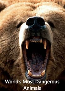 World's Most Dangerous Animals thumbnail