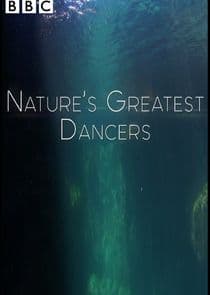 Nature's Greatest Dancers thumbnail