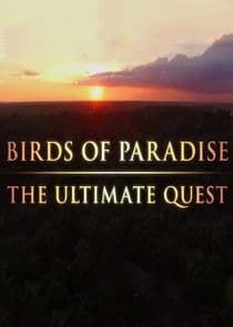 Birds of Paradise: The Ultimate Quest thumbnail