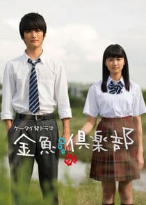 Kingyo Club thumbnail