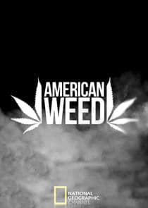 American Weed thumbnail