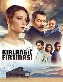 Kırlangıç Fırtınası