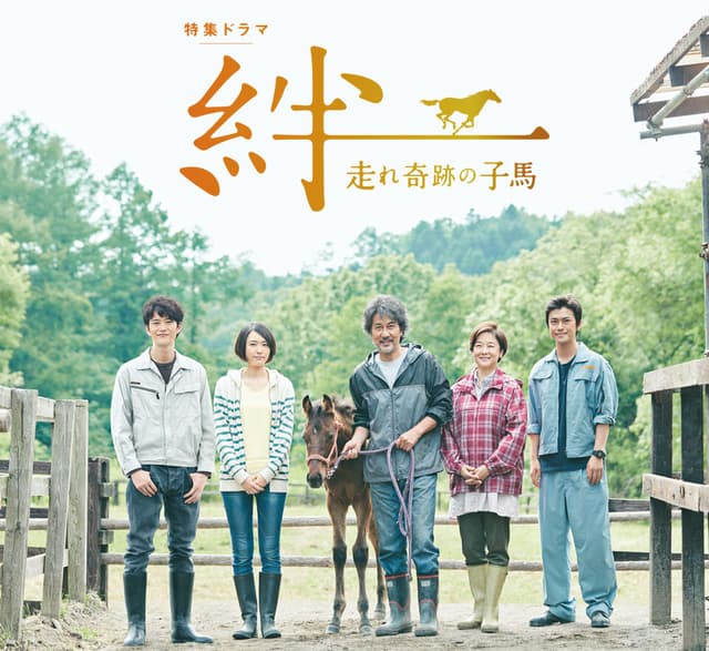 Ties: A Miraculous Colt