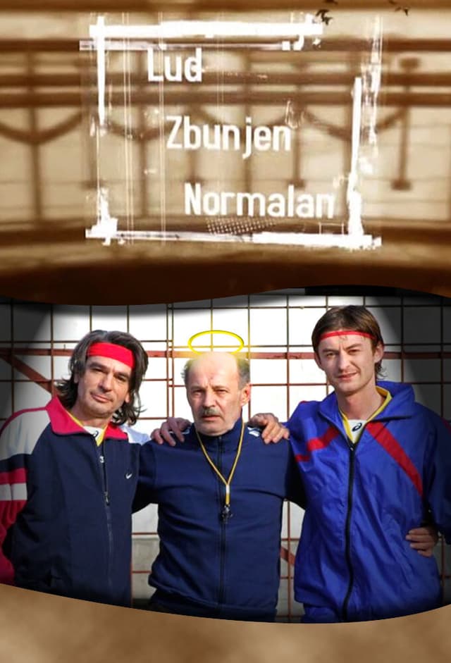 Lud, zbunjen, normalan