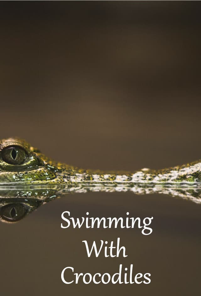 Swimming with Crocodiles